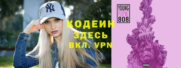 шишки Богородск
