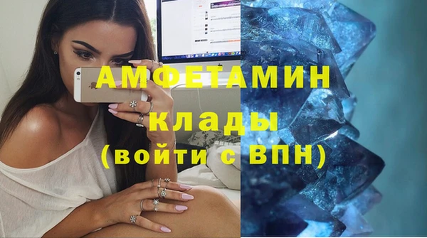 шишки Богородск
