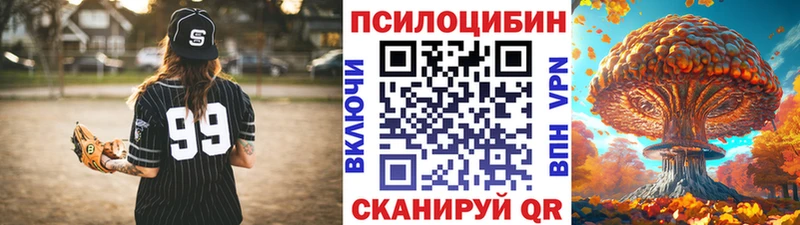 hydra ссылки  Александровское  Галлюциногенные грибы мицелий 